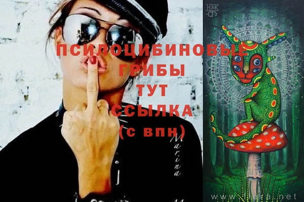 mdpv Беломорск